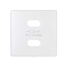 Накладка для зарядного устройства 2xUSB белого матового цвета S82 Concept